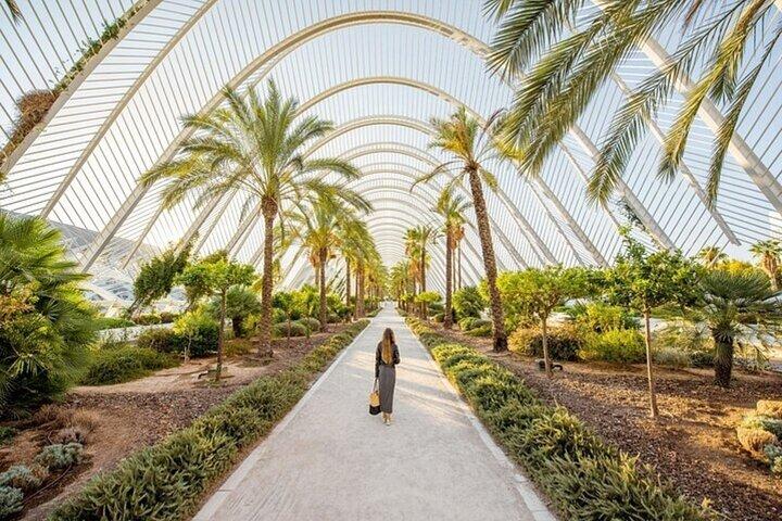 Valencia Highlights Private Bike Tour con una guida