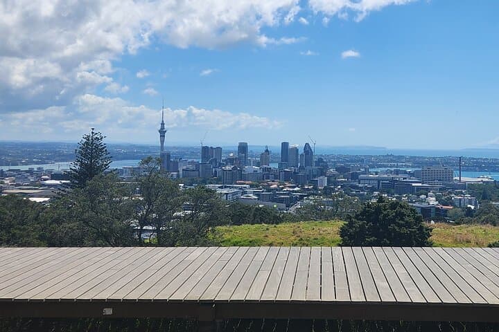 Private Auckland Best Top 5 Spots Half day Tour
