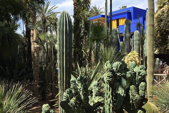 Marrakech City: Private Full Day Sightseeing Tour