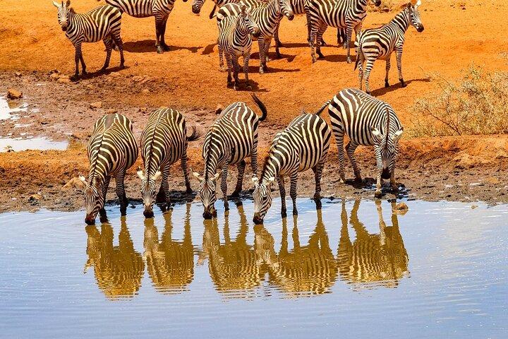 6-dages Mombasa Tsavo vest, Amboseli og Tsavo øst privat tur