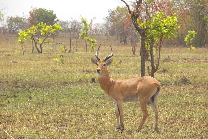 Shai Hills Game Reserve, Oboadaka og Aburi Gardens Shared Tour