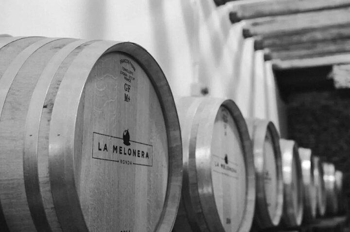 Ecologische rondleiding door de wijnmakerij in Ronda met proeverij