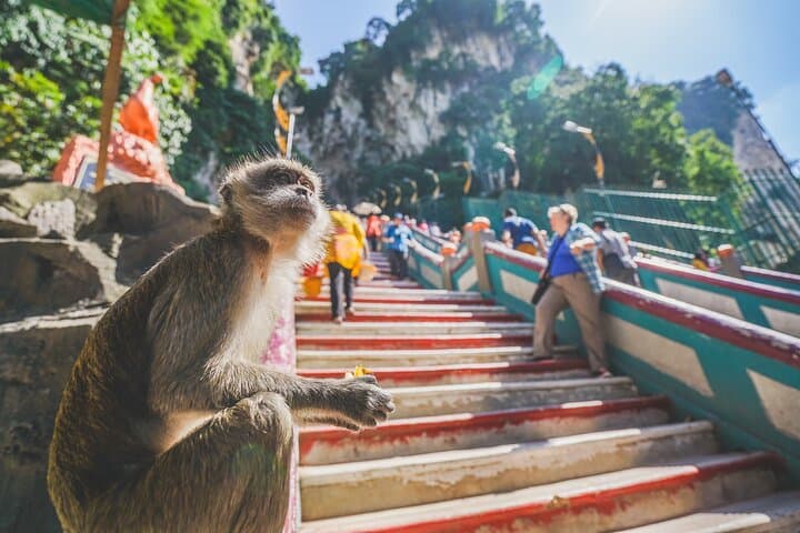 Half Day Batu Caves Group Tour in Kuala Lumpur Including Pickup