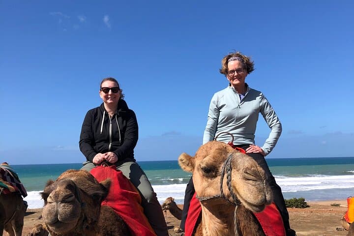 Tarifa to Tangier Private Tour :ferry ticket, lunch & camel ride
