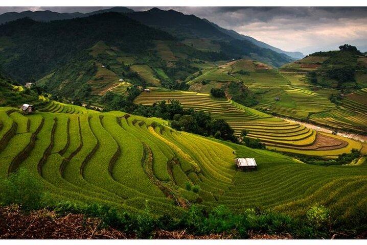 Terrace Fields and Local Villages Walking Tour from Sapa