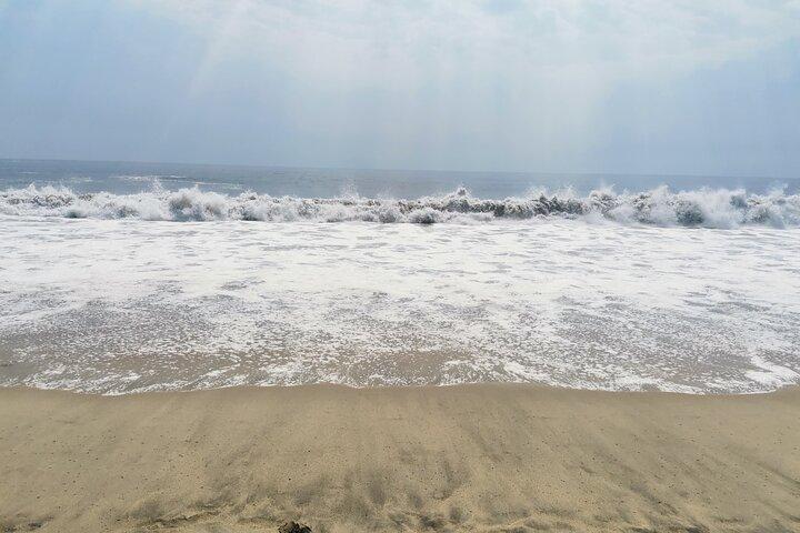 Fra Oaxaca de Juárez til Puerto Escondido - Privat overførsel