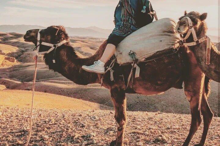 Camel Ride and Dinner under the Stars in the Agafay Desert