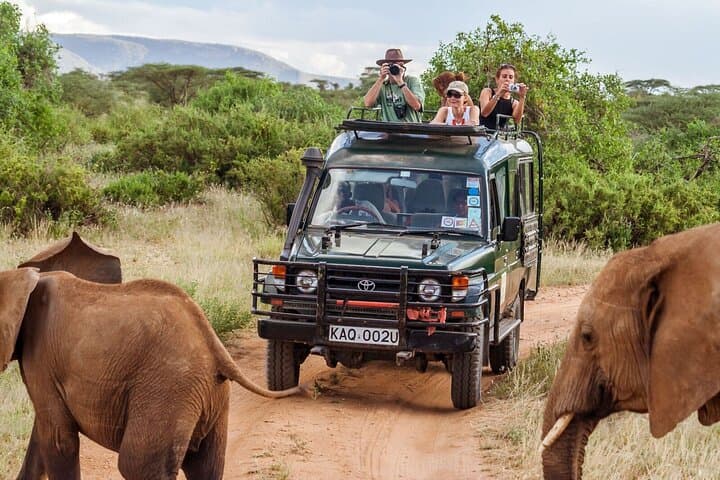 3Days/2Nights Masai Mara Safari on Midrange camp with Landcruiser