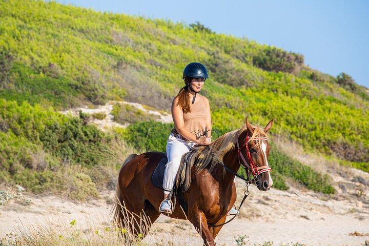 アルクディア湾の美しさを発見する 3 時間のビーチ乗馬
