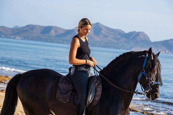 アルクディア湾の美しさを発見する 3 時間のビーチ乗馬