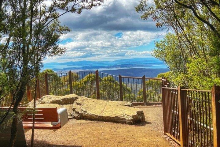 Excursión a Wellington Ultimate Experience desde Hobart