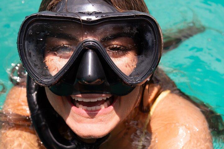 Harbour Lights-Chair &Turtle Shipwreck Snorkel Tour(10:30-1:30pm)
