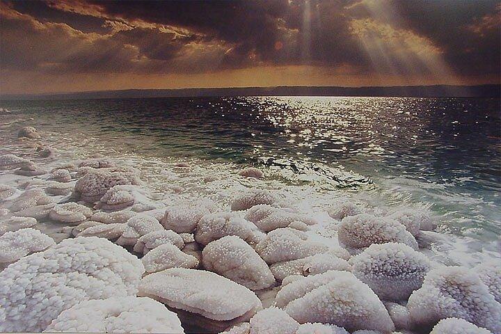 Private Tour to the Dead Sea From Amman
