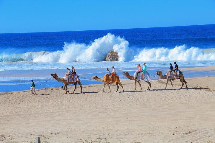 Combo Camel Beach Ride og UTV 4X4 Cabo Eventyr, Tequila &