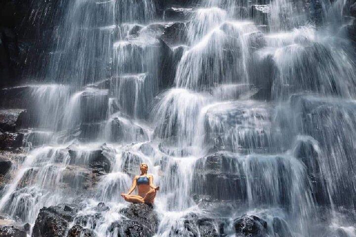 Ubud Full Day - Monkey Forest, Rice Terrace e Waterfalls Tour
