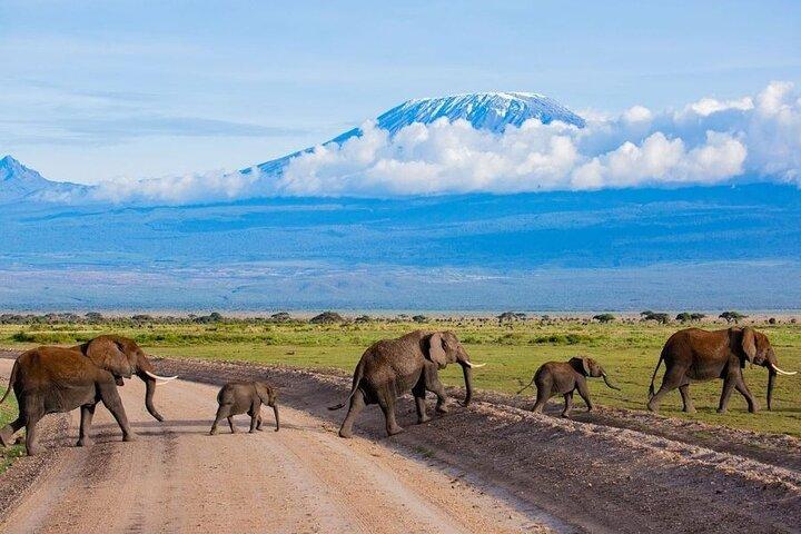 ケニアの素晴らしさを発見: 4日間のマサイマラとナクルのアドベンチャーツアー