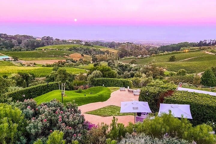 Exclusive Constantia: Private Tour of Cape Town's Wine Country