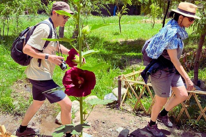 Marrakech: Ourika Valley,Atlas Mountains,waterfall with guide