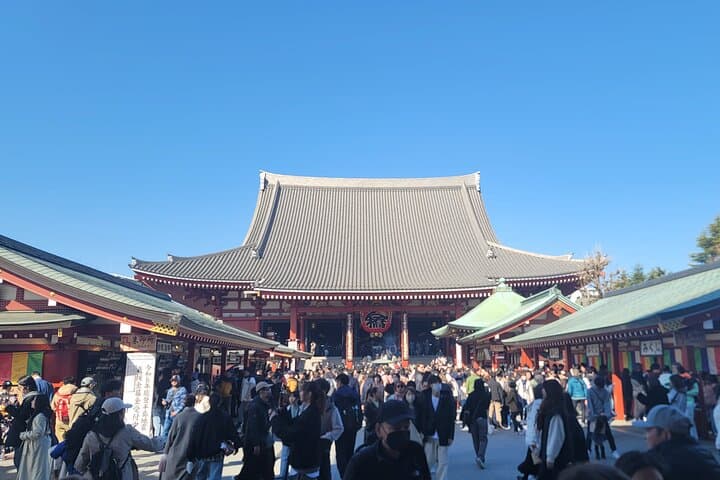 Tokyo Private Tour by Car with English speaking driver