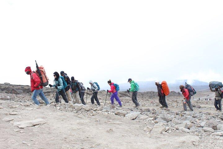 11 dagars Kilimanjaro Premium Luxury Trek via Lemosho Route