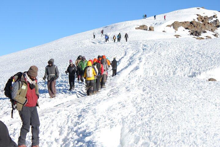 11 dagars Kilimanjaro Premium Luxury Trek via Lemosho Route