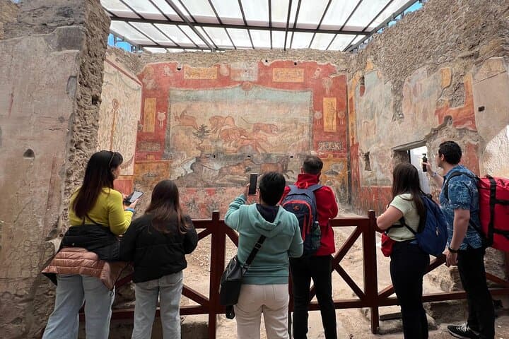 Vesuvius & Pompeii Signature Tour: Wine & Lunch from Naples