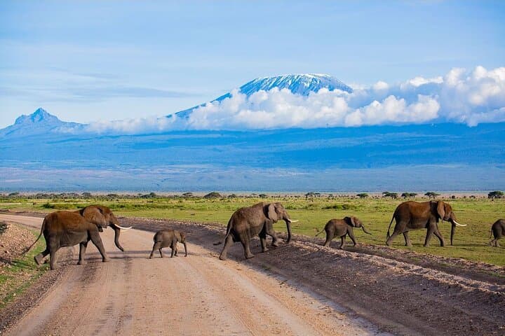 Safari Tour by Jeep to Amboseli National Park