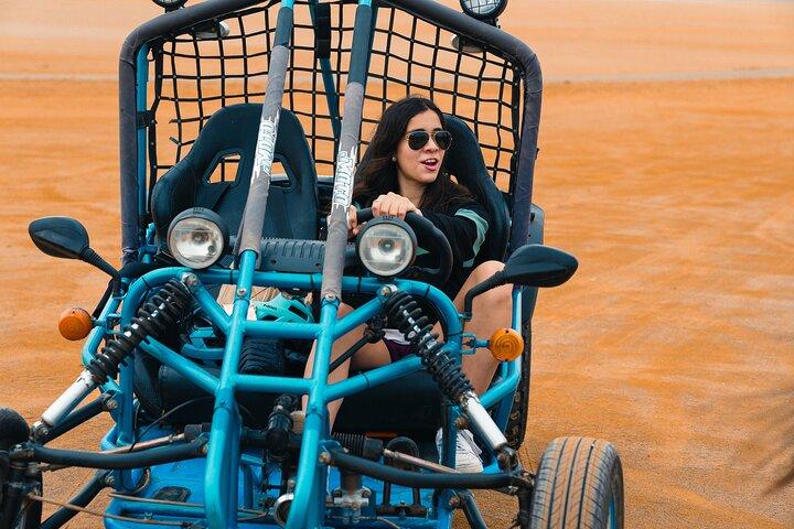 Visita la Riserva Nazionale di Paracas in un MiniBuggy