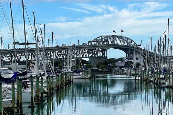 Auckland Best Top 5 Spots Half day Tour