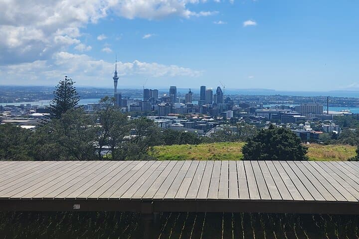 Auckland Best Top 5 Spots Half day Tour