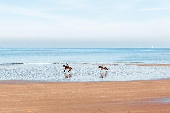 Un'ora a cavallo sulla spiaggia di Sharm El-Sheikh