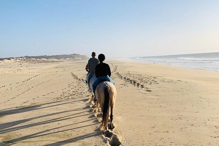 Un'ora a cavallo sulla spiaggia di Sharm El-Sheikh