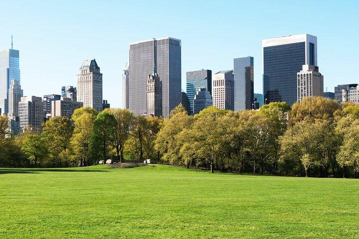 Visita a pie de medio día a la ciudad de Nueva York con el Museo Metropolitano