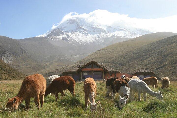 Den ultimata 6-dagarsrutten genom Ecuadors Anderna och Amazonas