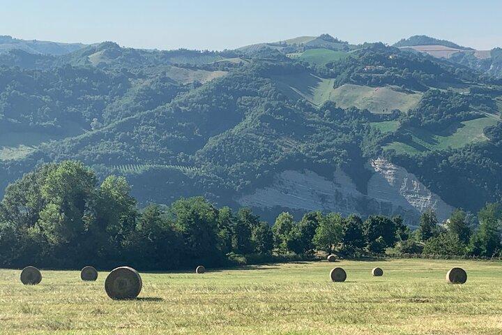 FARM STAY EXPERIENCE & DOZZA - Excursion privée d'une journée au départ de Bologne