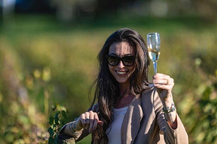 Winery Tour & Tasting in Pisa Countryside