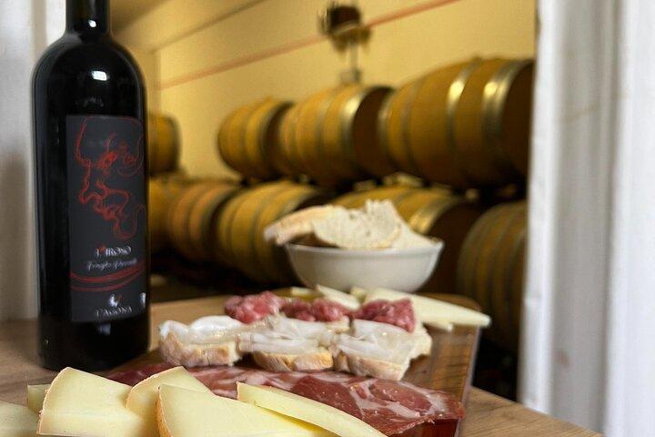 Winery Tour & Tasting in Pisa Countryside