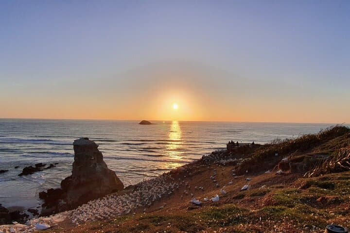 Auckland Sunset tour with Winery & Thermal pool