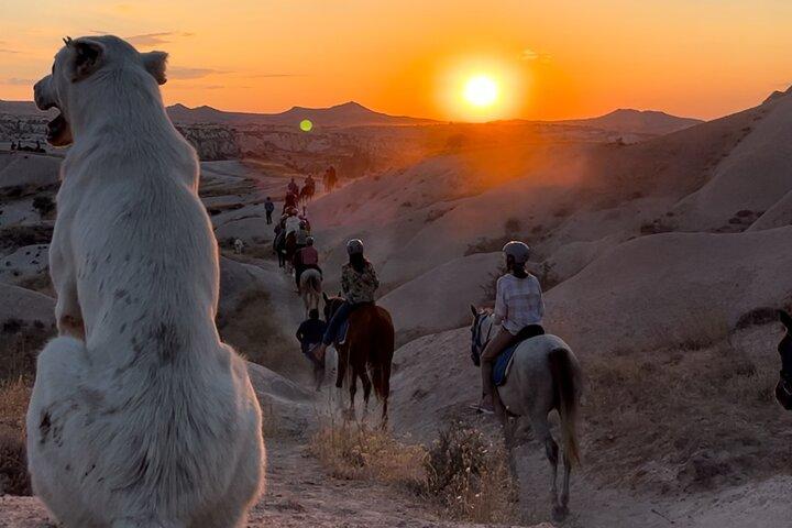 Expérience d'équitation de 2 heures en Cappadoce - horaire flexible