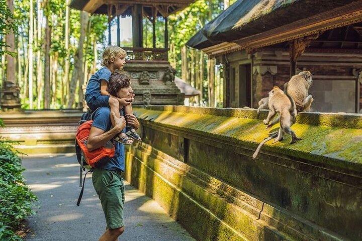 Discover Ubud Top Attractions: Rice Terrace & Waterfalls Tour