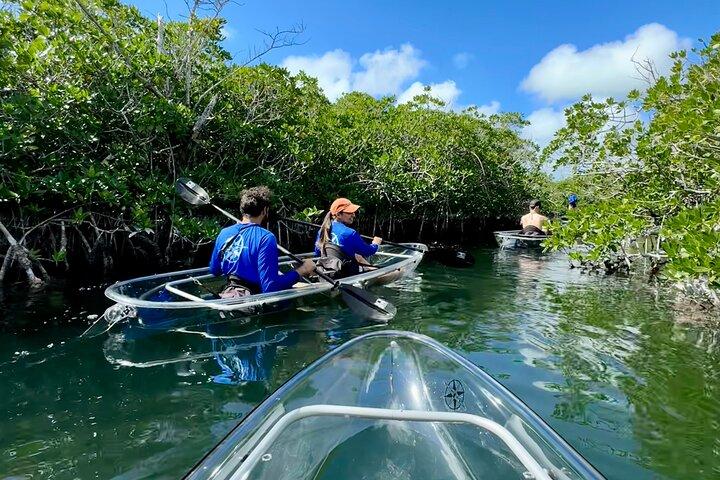 Eco-visite guidée en kayak clair près de Key West
