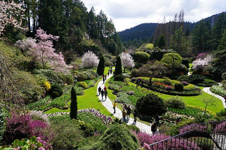 Victoria Day Trip com BC Ferries, Butchart Gardens & Downtown