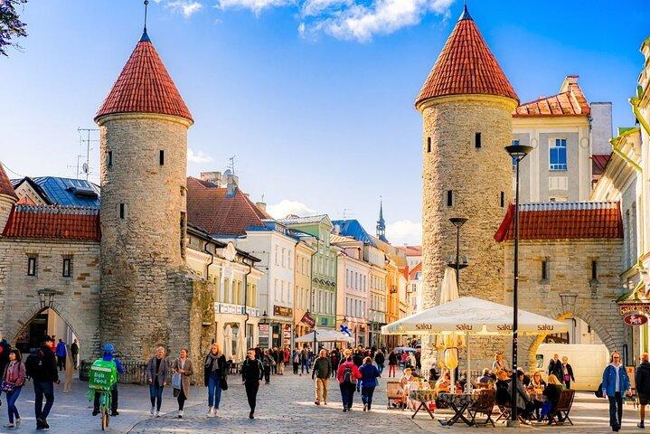 Tagesausflug nach Tallinn oder Flughafentransfer