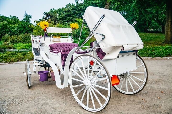 Official Private New York City Central Park Horse Carriage Ride Since 1965™