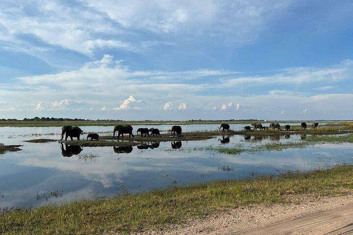 Chobe-dagstur fra Victoria Falls