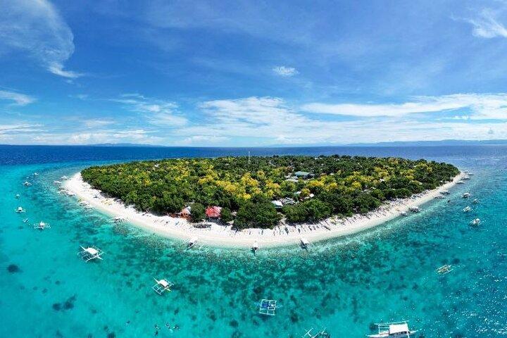 Bohol: Turtle Sanctuary Snorkeling and Boat Tour with Lunch