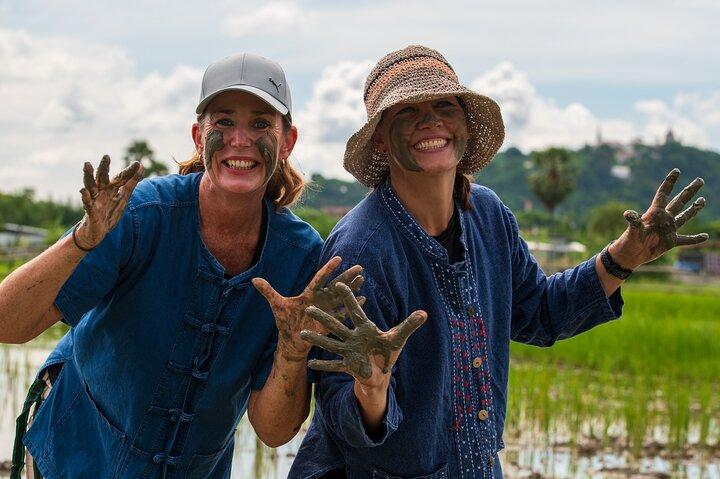 Plov til plade: Vær en risfarer i Phetchaburi fra Hua Hin