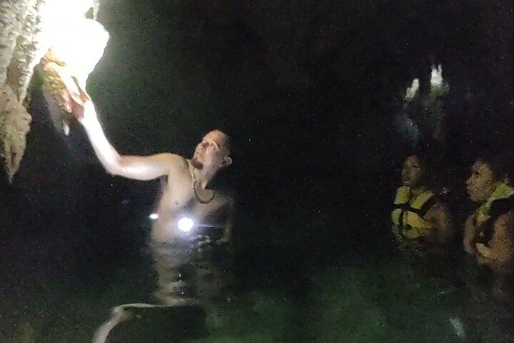 Tulum Jungle Cenote & Turtle Swim