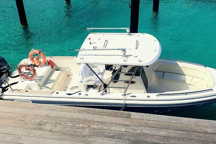 Private Ganztagesbäder und Tagesausflug in Tortola BVI