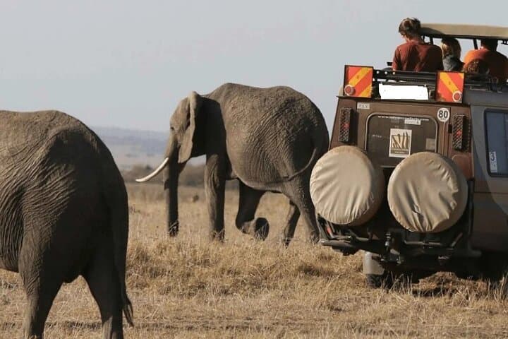 3 Day Maasai Mara Group Joining Camping Safari